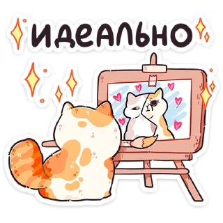 🐱