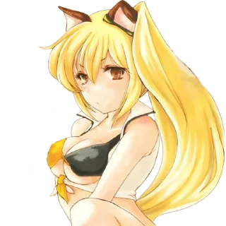 😺