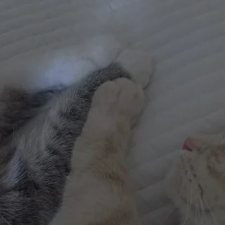 💗