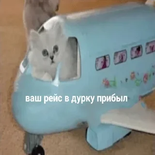🥳