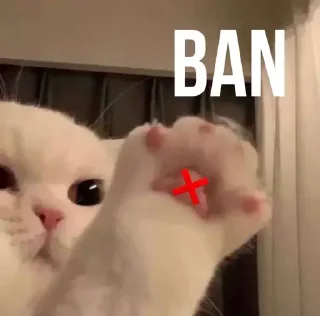 ❌