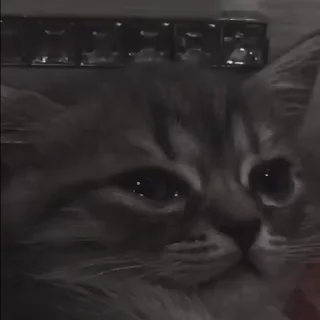 😢
