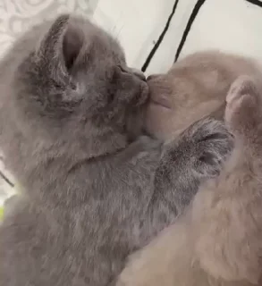 💋