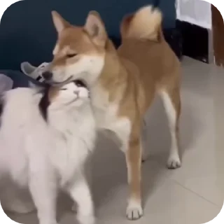😚