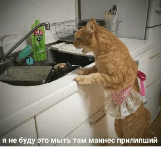 😺