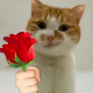 😉