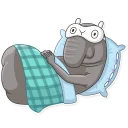 😴