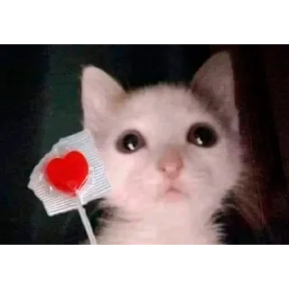 ❤️