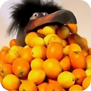 🍲