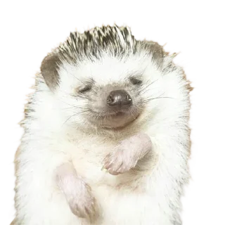 😌