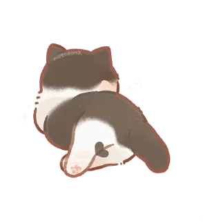 🌟