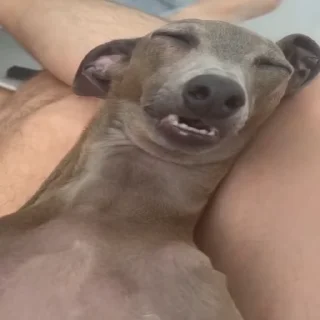 😴