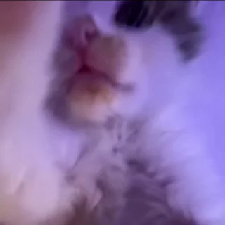 👀