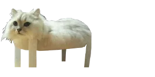 🦵