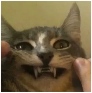 😃