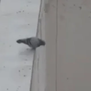 👋