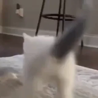 🕺
