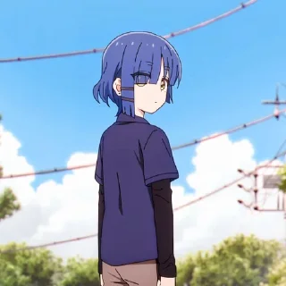 🔹