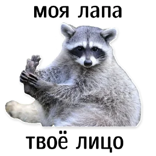🦵