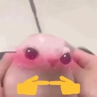 (〃ω〃)