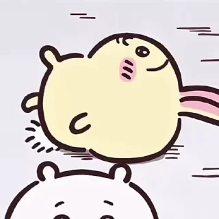 🐰