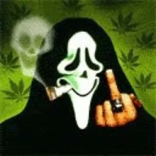 🌿
