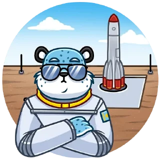 🚀
