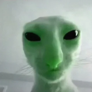 👽