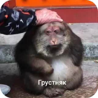 🙂