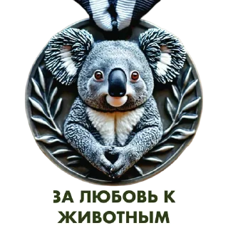 🐨