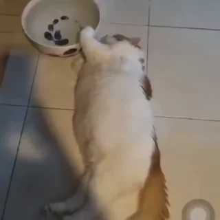 🚰