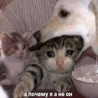 😔