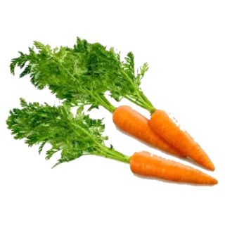 🥕