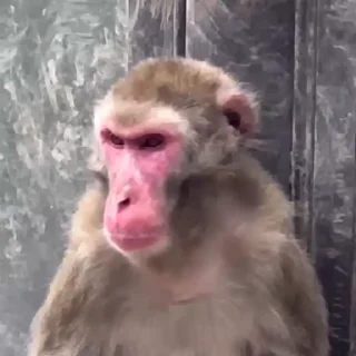 😒