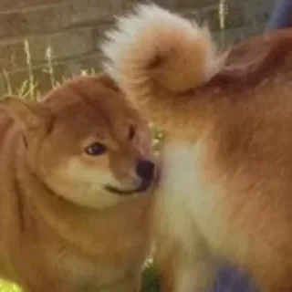 🧐