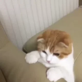🫠