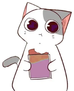 🐈