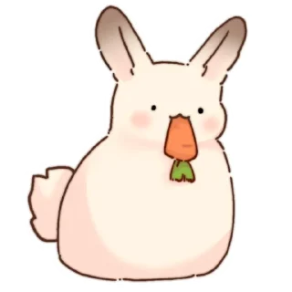 🍪