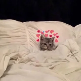 😘