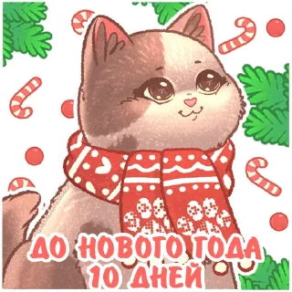 1⃣