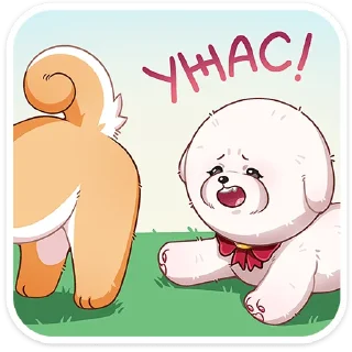 🙈