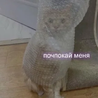 😋