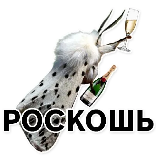 👑