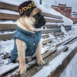 💂‍♀️
