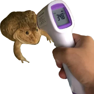 🌡