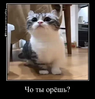 ❔