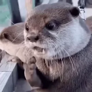 😧