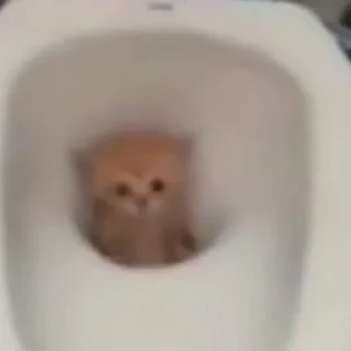 🙂