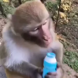 🍼