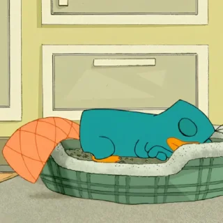 😴